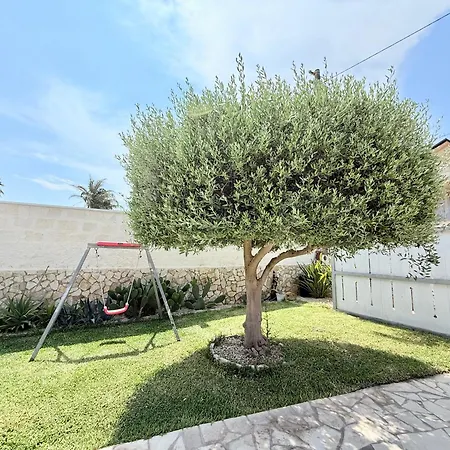 San Lorenzo Reitani