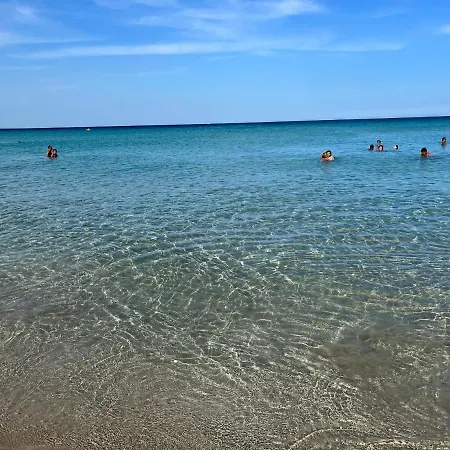 San Lorenzo Holiday *